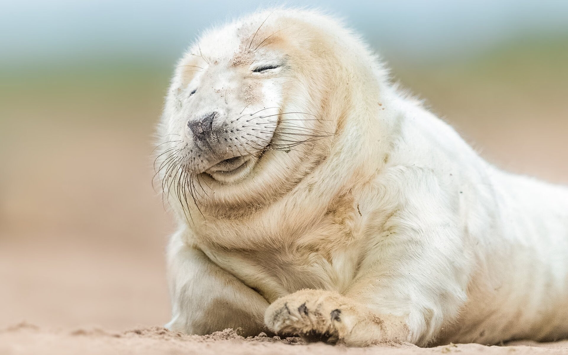 当麦迪逊花园的奇迹照进英超，哈利伯顿的跨界接管启示录