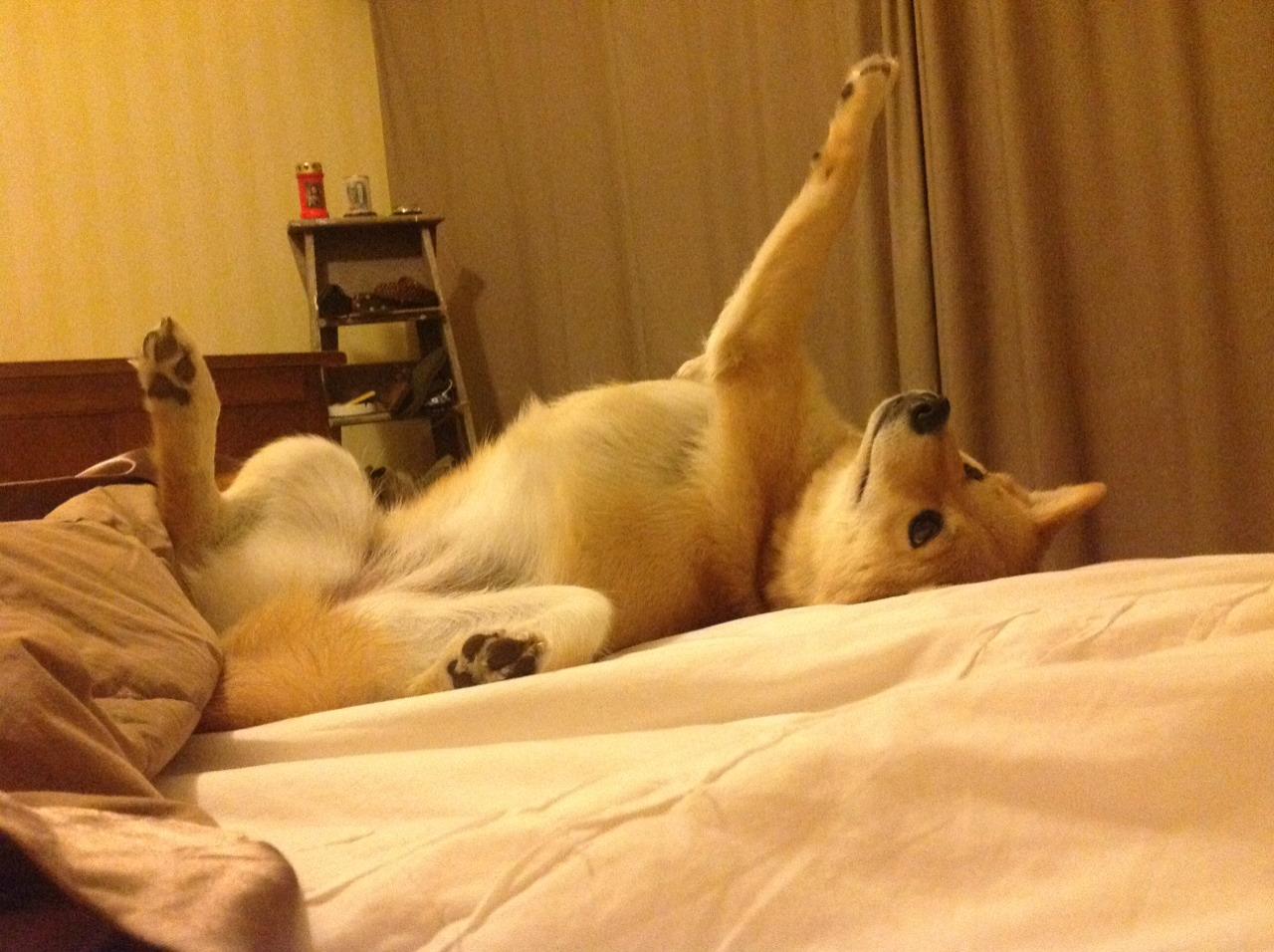 跨界传奇，北京队强势晋级勇士，恩比德在德甲争冠战接管比赛