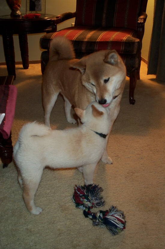 恩比德成为全场焦点,快船最后时刻击败公牛